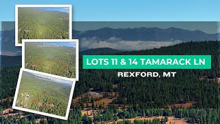 Stunning and Affordable Lots in Tamarack Estates  Rexford MT  Listed by Rachel Fedor [upl. by Chak]