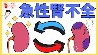 ④ 急性腎不全の分類、検査値、治療薬【看護、薬学生向け】 [upl. by Dewees]