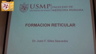 Anatomía  Formación Reticular y Sistema Límbico [upl. by September]