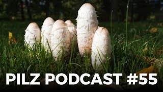 Pilz Podcast Folge 55  Pilze sammeln amp züchten mit derpilzfluesterer [upl. by Seyah]