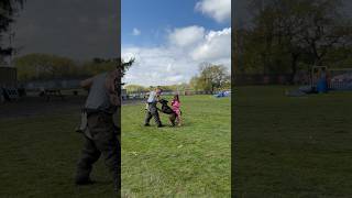 Belgian Malinois Protecting Young Girl belgianmalinois k9 malinois [upl. by Seidler699]