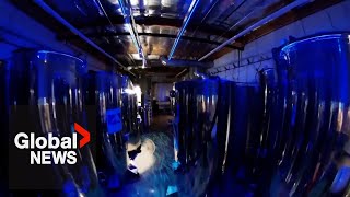 Inside a cryonics facility preserving terminallyill people and pets to wake up in the future [upl. by Zulaledairam770]