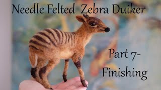 Needle Felted Zebra Duiker  Part 7 Finishing and boxing [upl. by Jelena]