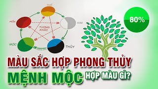 Mệnh Mộc hợp màu gì  Mệnh Mộc Kỵ màu gì  Màu sắc phong thủy  Trong thiết kế và cuộc sống [upl. by Mame]