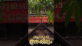 മണ്ണാറശ്ശാല ആയില്യം സ്പെഷ്യൽ  Mannarasala Ayilyam naga ayillyam mannarasala shorts [upl. by Imaon]