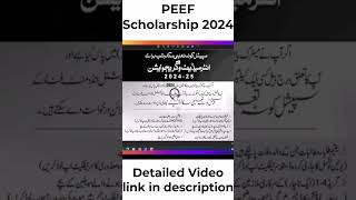 Peef Scholarship for Matric Inter Passed Students 202425 l Special Quota Scholarship shorts [upl. by Auroora403]