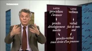 Merci Professeur Procès verbal [upl. by Lapham]