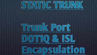 Static Trunk  Difference between ISL amp DOT1Q [upl. by Ahsenik]