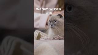 Die geheime Herkunft der Katzen fakten haustiere [upl. by Lise10]