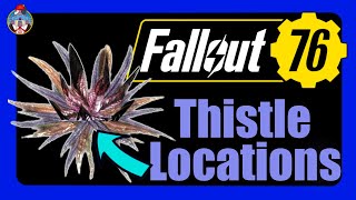 Got Thistle Thistle Location Guide  Fallout 76 [upl. by Risser]