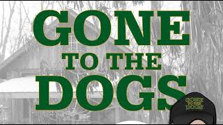 Gone To The Dogs Houndsmen and the Appalachian Flood [upl. by Regazzi774]