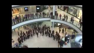 An unforgettable flash mob sings [upl. by Polik]