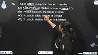 Trypsin differs from pepsin because it digests [upl. by Javed]