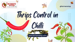 Thrips Control in ChilliHotpepper [upl. by Paynter]