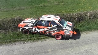 Rallye Salamandre 2019 Big Show and Mistakes HD [upl. by Carder]