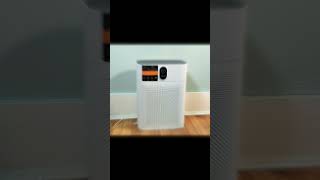 Top 5 Best Air Purifiers 2024 [upl. by Longo495]