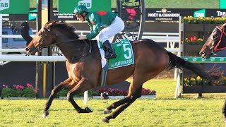 2022 Stradbroke Handicap  Alligator Blood  Gai Waterhouse [upl. by Yror]