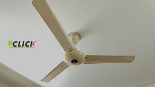 56quot Click Crown ceiling fan short video [upl. by Aihsrop924]