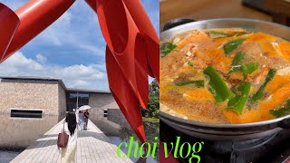 vlog  일상브이로그 원주여행 원주 찐맛집 추천 원주 뮤지엄산 원주 고향집 중앙시장 소고기골목 원주 우리장터 저탄고지 식단 납작복숭아 계열사치킨 [upl. by Ahtnahc]