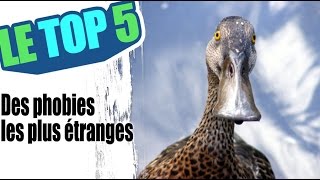 Le top 5 des phobies les plus étranges [upl. by Arret]