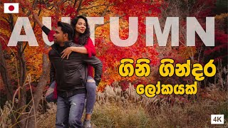 හැම අවුරුද්දෙම වෙනස් පාට අරන් එන Autumn  河口湖  Hithumathe JAPAN  4K [upl. by Viridis410]