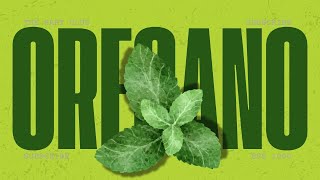 SHOCKING OREGANO STUDY  THE REAL MAGIC PILL  MUST WATCH [upl. by Damiani39]