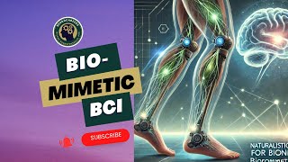 Naturalistic Sensations for Bionic Legs Biomimetic BCI with Giacomo Valle PhD [upl. by Cherye]