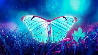 THE BUTTERFLY EFFECT ⁂ Raise Positive Energy Vibrations ⁂ 432Hz Music [upl. by Enitsirhk751]