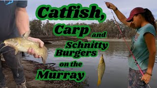 Catfish Carp and Schnitty Burgers  Murray River Fishing [upl. by Dahsar]