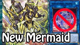 Meet the replacement for Knightmare Mermaid [upl. by Tirma897]