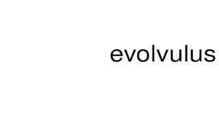 How to pronounce evolvulus [upl. by Brandy]