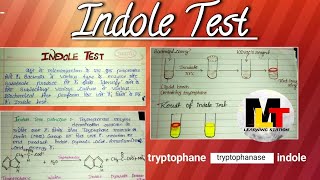 Indole test ।। Definition principle procedureuses of Indole test।। [upl. by Dorothi]