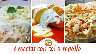 3 recetas con col o repollo  Cocina Vegan Fácil [upl. by Vasquez430]