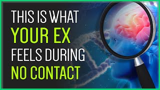 7 Things Your Ex Feels During No Contact [upl. by Larson]