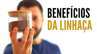 BENEFÍCIOS DA LINHAÇA MARROM  Linhaça como consumir [upl. by Sheree623]