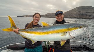 GIANT Yellowtail FISH of a LIFETIME Catch Clean amp Cook California Fishing [upl. by Treharne]