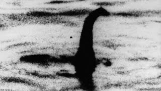 A Verdadeira História de Nessie O Monstro do Lago Ness [upl. by Rowena845]