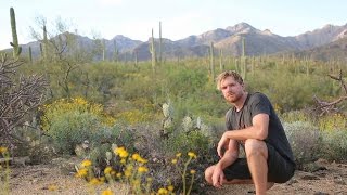 Solo Survival How to Survive Alone in the Desert Sonoran Desert Part One [upl. by Eserahc]