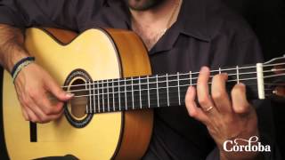 Cordoba Guitars  F10 Flamenco [upl. by Akeyla638]