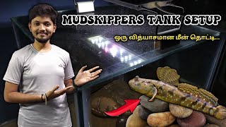 தண்ணி இல்லாமல் மீன் வளர்க்கலாமாவாங்க பார்க்கலாம் 🤯  Mudskipper Tank Setup [upl. by Carrillo]