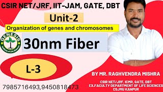 Heterochromatin Euchromatin  Chromosome  L4 Unit2 𝐆𝐞𝐧𝐞𝐬𝐢𝐬 𝐈𝐧𝐬𝐭𝐢𝐭𝐮𝐭𝐞 𝐨𝐟 𝐋𝐢𝐟𝐞 𝐒𝐜𝐢𝐞𝐧𝐜𝐞𝐬 [upl. by Arutak241]