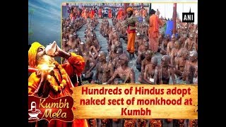 Hundreds of Hindus adopt naked sect of monkhood at Kumbh  Uttar Pradesh News [upl. by Yelsha448]