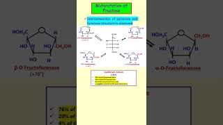 Mutarotation of Fructose shorts carbohydrates biomolecules biochemistry neet [upl. by Stella]