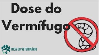 Vermifogo para Cães Entenda a Porque Usar e Qual Dose Prevenção Periódica  Dica do Veterinário [upl. by Kumler]