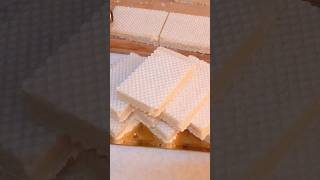 How to make wafer at homemaking homemade wafer [upl. by Aramanta623]