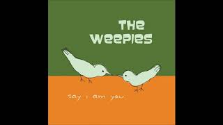 The Weepies  World Spins Madly On [upl. by Brittan]