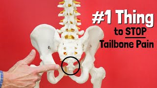 1 Thing to STOP Tailbone or Sit Bone Pain  Giveaway [upl. by Nerrat]