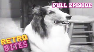 Lassie  The Bonnet  Full Episodes [upl. by Doscher]