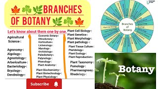 Branches of botany 🌿☘️🍁 scienceBiologyBotany 🌿 [upl. by Ymia]