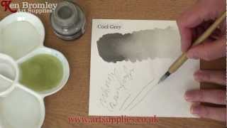 Daler Rowney FW Ink Cool Grey 053 [upl. by Parnell]